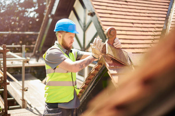 Best Roof Gutter Cleaning  in Sherrill, NY